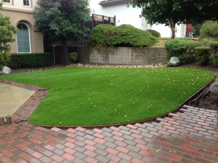 Synthetic Grass Wesley Chapel, Florida Landscape Rock, Front Yard Landscape Ideas