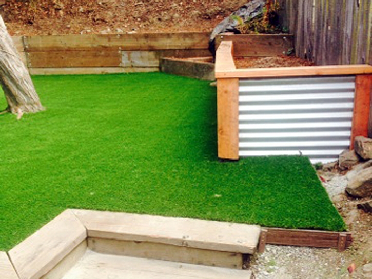 Synthetic Lawn Aventura, Florida City Landscape, Backyard Designs