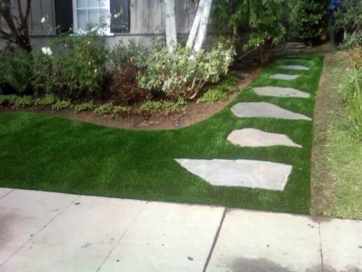 Synthetic Lawn Gibsonton, Florida Rooftop, Front Yard Landscape Ideas