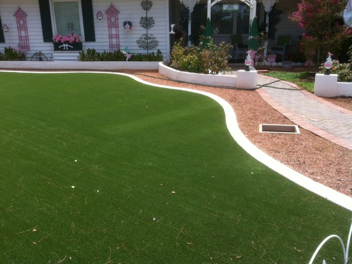 Synthetic Lawn Gulfport, Florida City Landscape, Front Yard