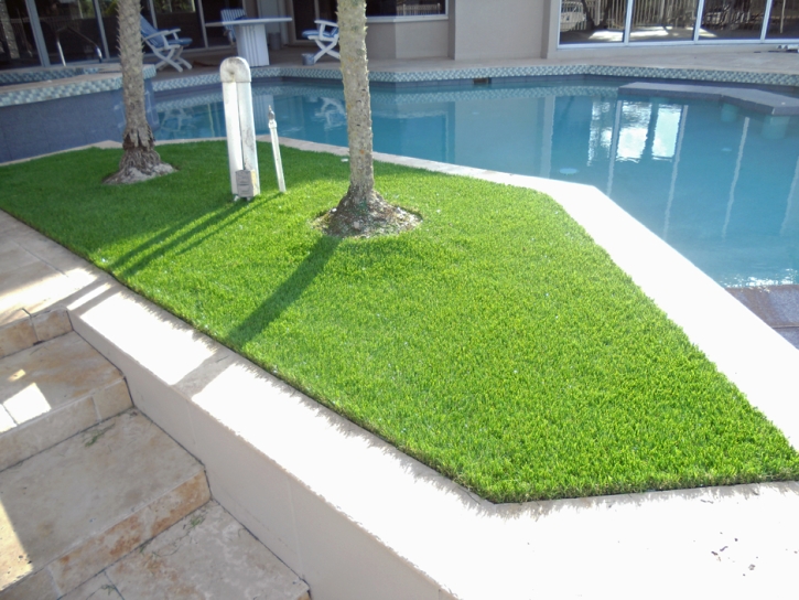 Synthetic Lawn Lake Wales, Florida Landscaping Business, Backyard Landscape Ideas