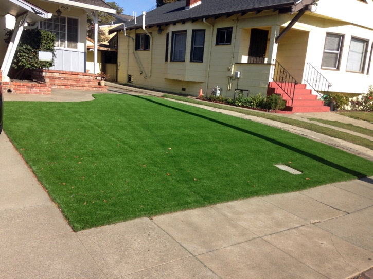 Synthetic Turf East Lake, Florida Garden Ideas, Front Yard Design