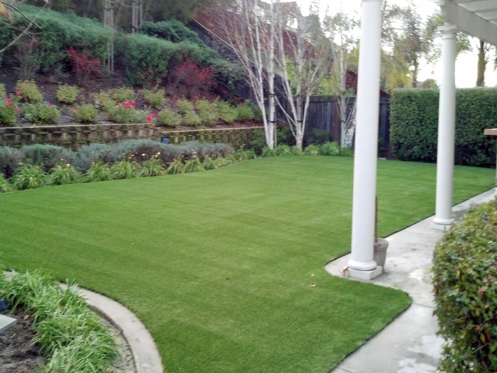 Synthetic Turf Hernando, Florida Landscape Rock, Beautiful Backyards