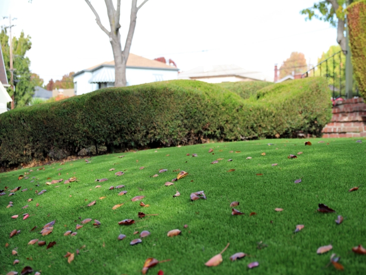 Synthetic Turf Holiday, Florida Lawns, Small Front Yard Landscaping