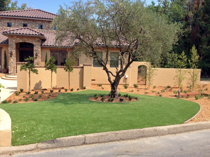 Synthetic Turf Jasmine Estates, Florida Landscaping, Landscaping Ideas For Front Yard