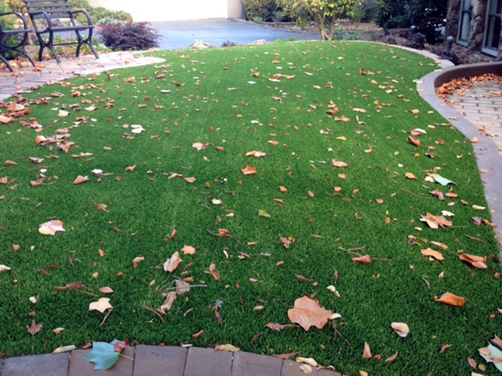 Synthetic Turf Pelican Bay, Florida Roof Top, Front Yard Landscape Ideas