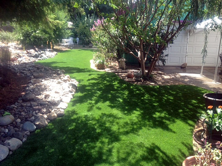 Synthetic Turf Riverview, Florida Backyard Deck Ideas, Backyards