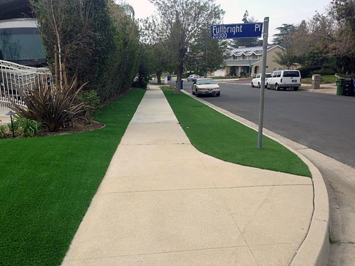 Synthetic Turf Siesta Key, Florida City Landscape, Front Yard Landscape Ideas