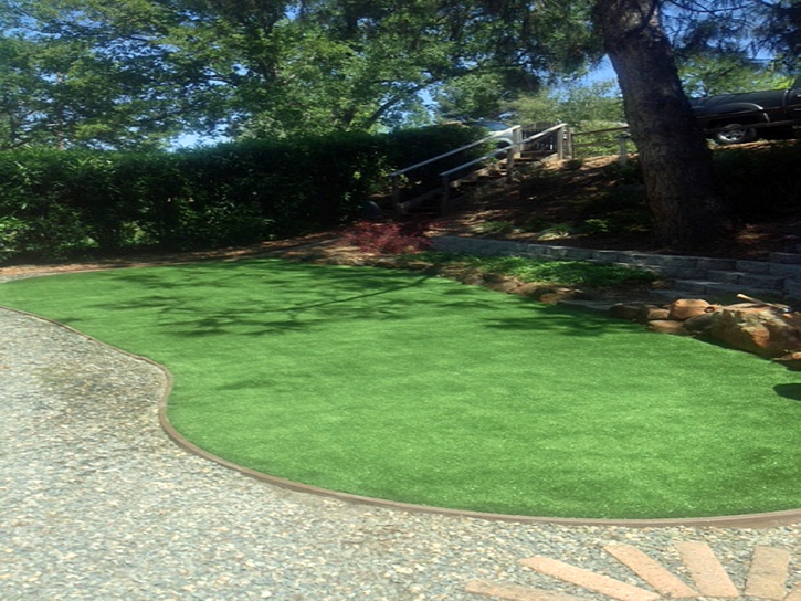 Synthetic Turf Supplier Bonita Springs, Florida Lawns, Backyard Makeover