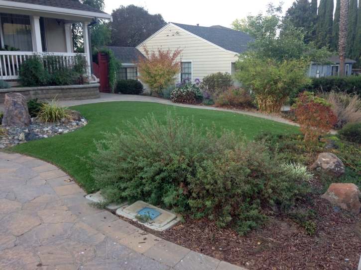 Synthetic Turf Supplier Buenaventura Lakes, Florida Gardeners, Front Yard Landscaping Ideas