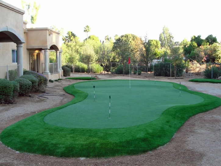 Synthetic Turf Supplier Citrus Hills, Florida Backyard Playground, Backyard Garden Ideas