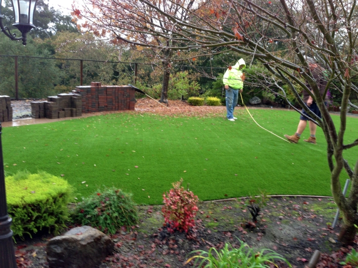 Synthetic Turf Supplier Fort Myers, Florida City Landscape, Backyard Garden Ideas