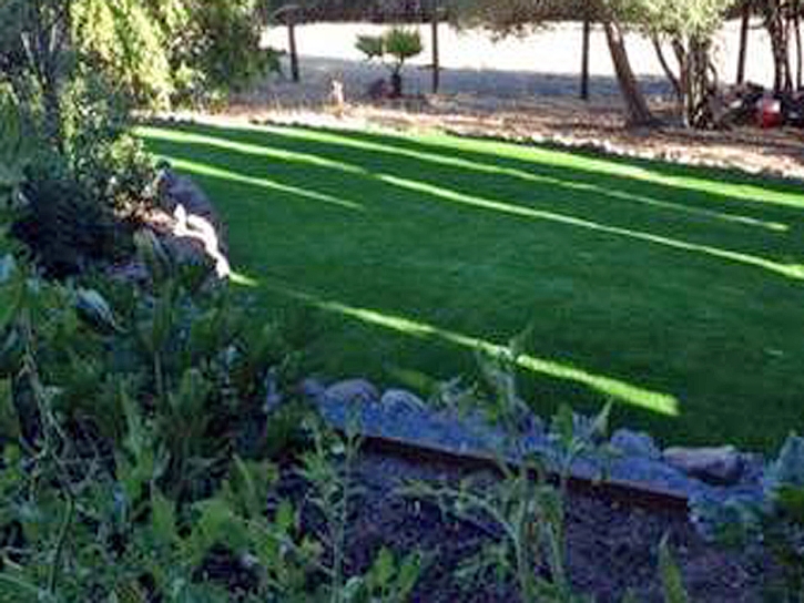 Synthetic Turf Supplier Ojus, Florida Landscape Photos, Backyard Makeover