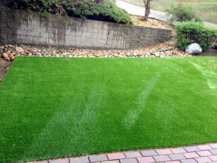 Synthetic Turf Supplier Westchase, Florida Landscape Rock, Front Yard Landscape Ideas