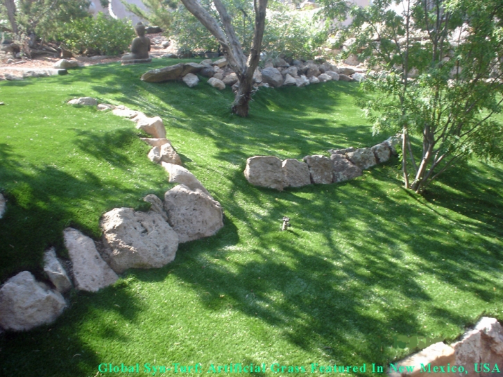 Synthetic Turf Warm Mineral Springs, Florida Backyard Deck Ideas, Commercial Landscape