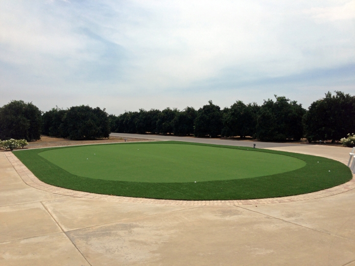 Synthetic Turf West Miami, Florida Diy Putting Green, Front Yard Landscaping