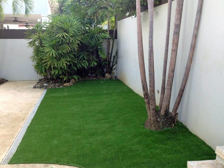 Turf Grass Bellair-Meadowbrook Terrace, Florida Lawn And Landscape, Backyard