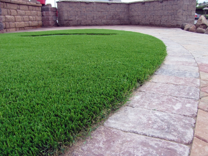 Turf Grass Cantonment, Florida Home And Garden, Front Yard