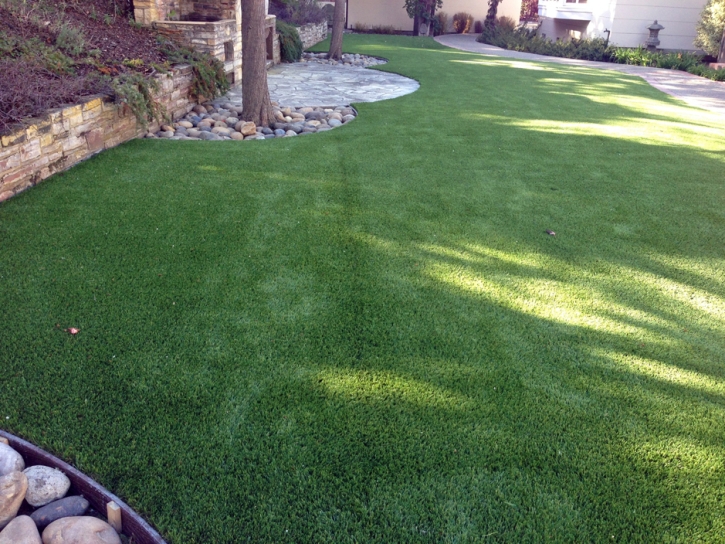 Turf Grass Iona, Florida Garden Ideas, Backyards