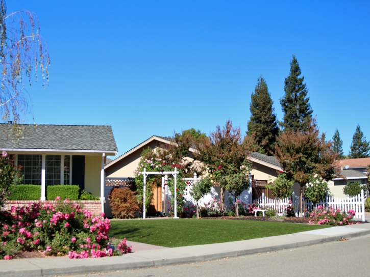 Turf Grass Milton, Florida Landscaping Business, Front Yard