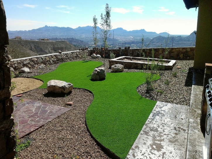 Turf Grass North Andrews Gardens, Florida Landscaping Business, Small Backyard Ideas