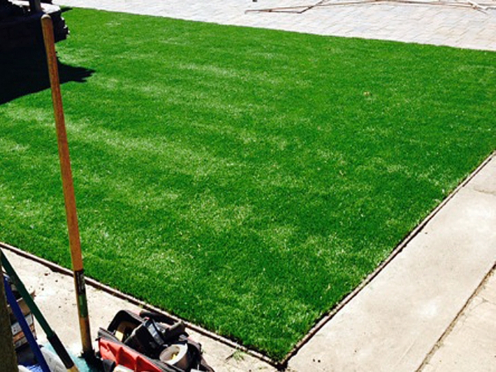 Turf Grass Westchester, Florida Lawns